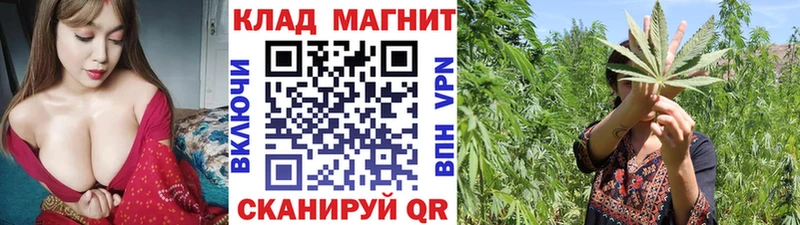 МЕФ Судогда