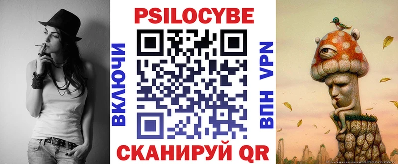 продажа наркотиков  Судогда  Галлюциногенные грибы мицелий 